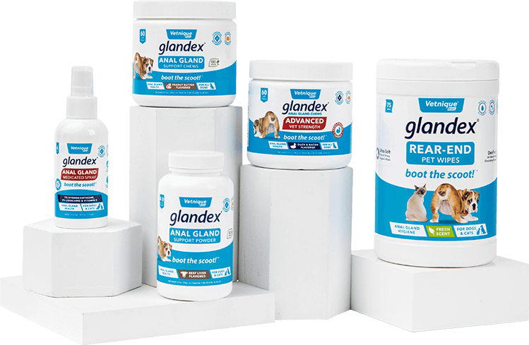 Vetnique Labs Glandex Anal Gland Soft Chews with Pumpkin, supplément de  Fibres probiotiques pour Chiens (120ct Chew)
