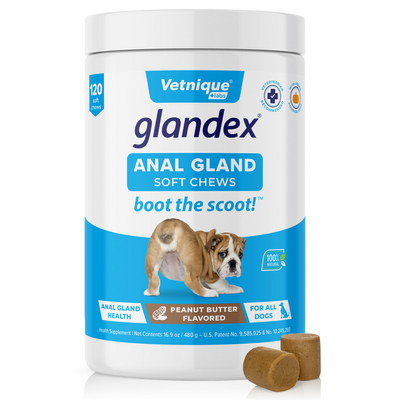 Glandex® Dog Anal Gland Supplement With Pumpkin