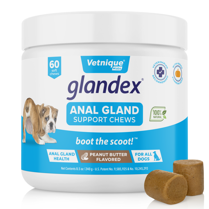 Vetnique Labs Glandex Anal Gland Soft Chews with Pumpkin, supplément de  Fibres probiotiques pour Chiens (120ct Chew)