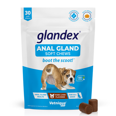 Glandex® Dog Anal Gland Supplement With Pumpkin