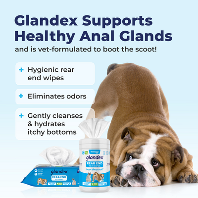 Glandex® Anal Gland Wipes for Dogs & Cats