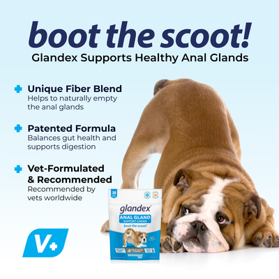 Glandex® Anal Gland Supplement Chews for Dogs - VetPass Free Sample