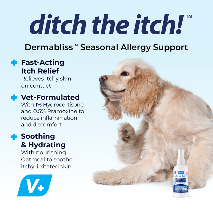 how do you treat seasonal allergies in dogs