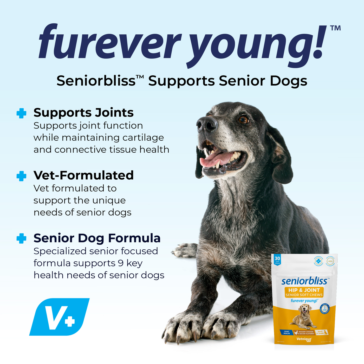 Seniorbliss™ Hip & Joint Supplement for Senior Dogs - VetPass Free Sample