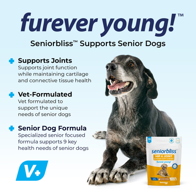 Seniorbliss™ Hip & Joint Supplement for Senior Dogs - VetPass Free Sample