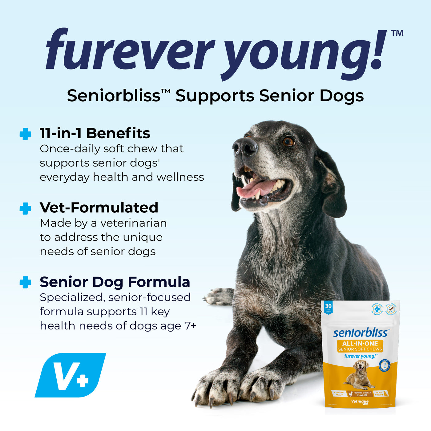 Furever Young with All-in-one Senior Dog Soft chews