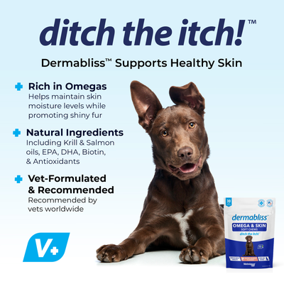 Dermabliss Omega Fatty Acid Skin Supplement for Dogs - VetPass Free Sample