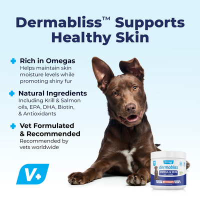 Dermabliss Omega Fatty Acid Skin Supplement for Dogs