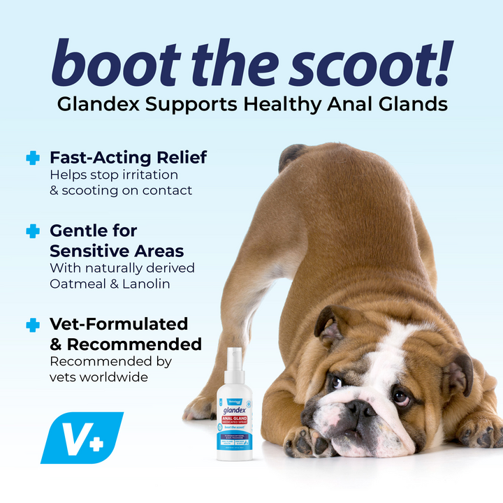 Boot the Scoot with Glandex Anal Gland Spray