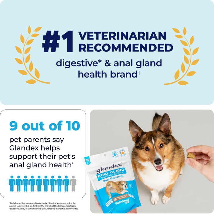 Glandex® Anal Gland Supplement Chews for Dogs - Thank you!