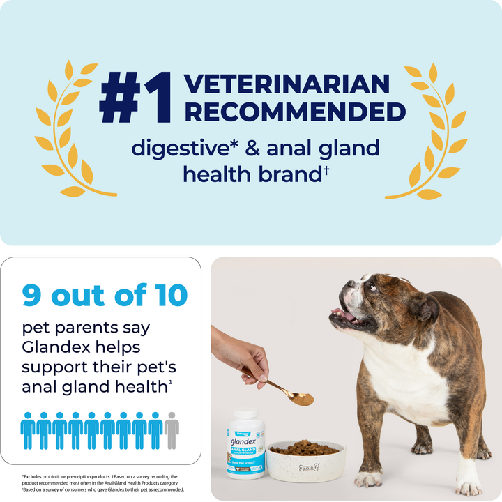 Glandex® Anal Gland Powder Supplement for Dogs & Cats