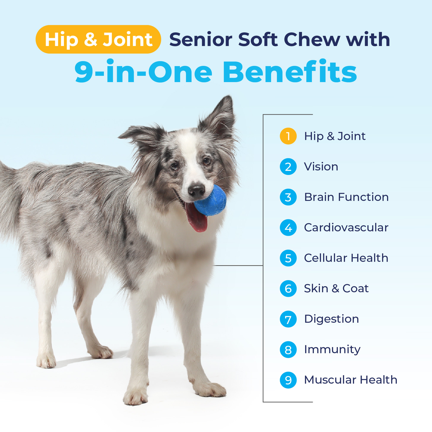 Seniorbliss™ Hip & Joint Supplement for Senior Dogs - VetPass Free Sample