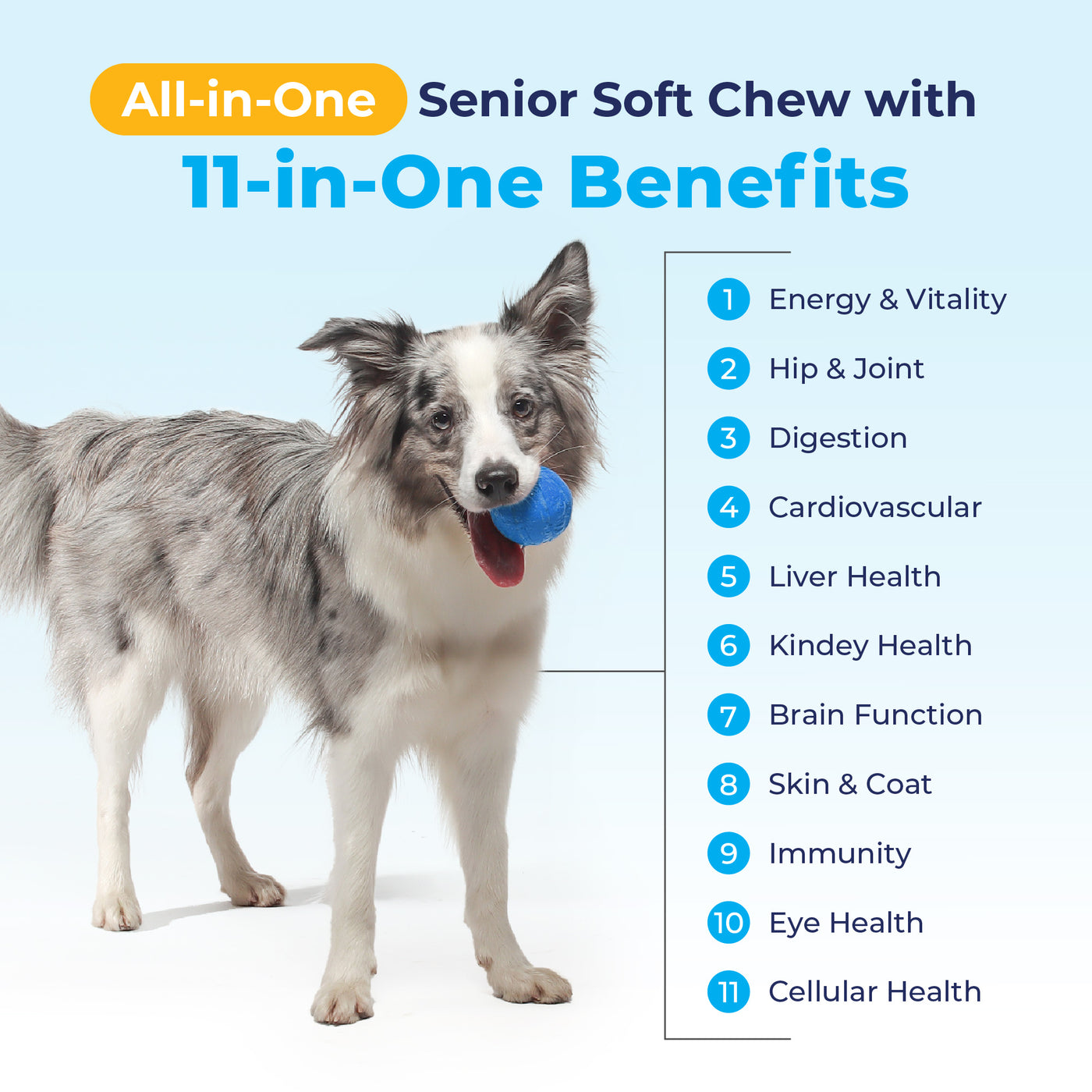 Seniorbliss™ All-in-One Supplement for Senior Dogs - VetPass Free Sample