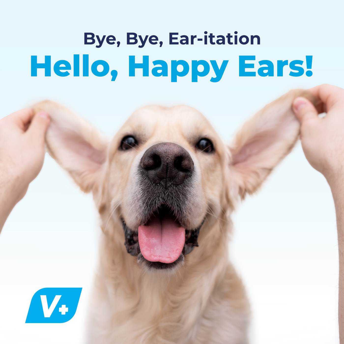 Oticbliss™ Medicated Ear Drops for Dogs and Cats - VetPass Free Sample