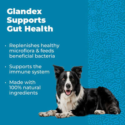 Glandex supports gut health