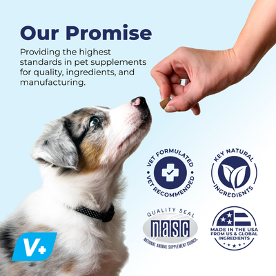 Seniorbliss™ Hip & Joint Supplement for Senior Dogs - VetPass Free Sample