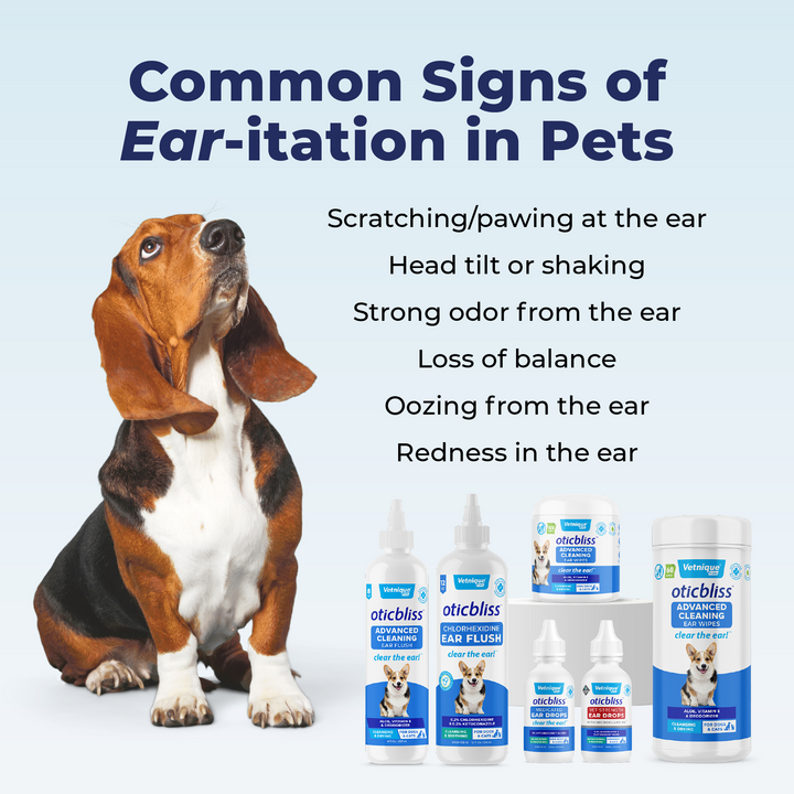 Ketoconazole ear wash for dogs hotsell