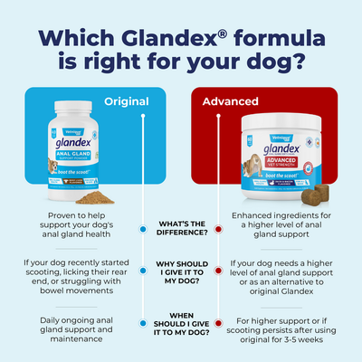 Glandex® Anal Gland Powder Supplement for Dogs & Cats
