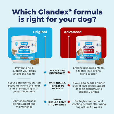Glandex® Advanced Anal Gland Chews for Dogs & Cats