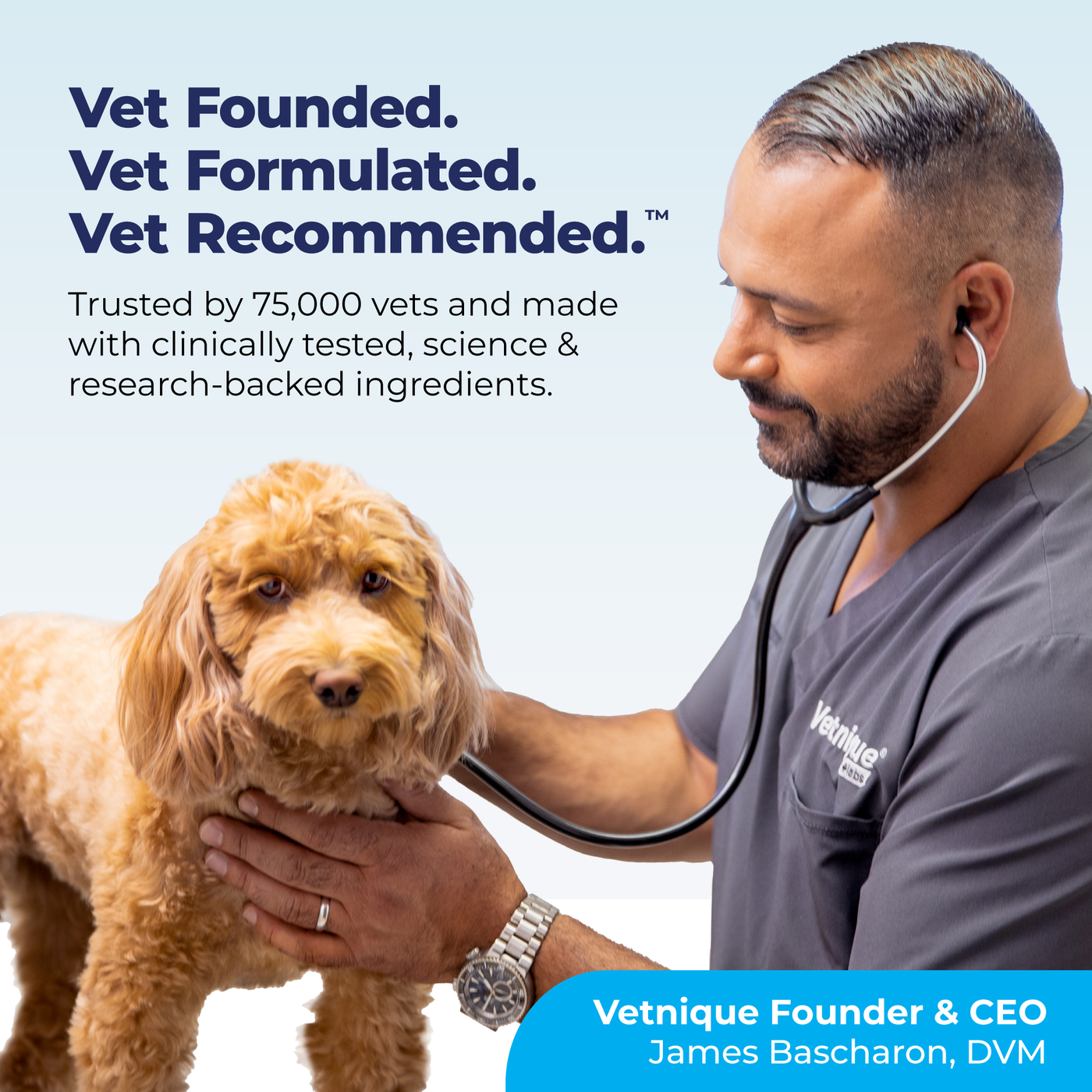 Seniorbliss™ Hip & Joint Supplement for Senior Dogs - VetPass Free Sample