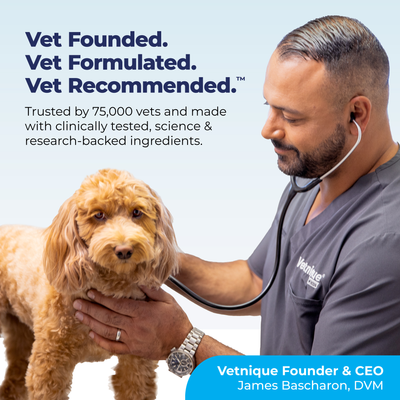 Glandex® Anal Gland Supplement Chews for Dogs - VetPass Free Sample