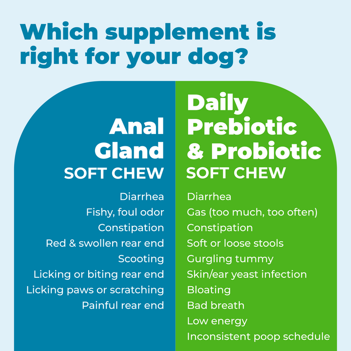 Which one Anal Gland Soft chew or Daily Prebiotic and probiotic