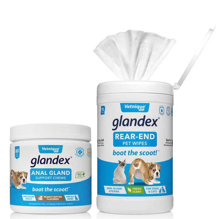 Glandex® Chews & Wipes Bundle - Save 15%! – Vetnique Labs